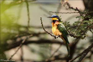 Debre Zeite - Bishoftu