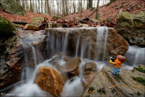 Photos dans la nature