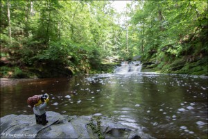 Promenade de la Hoëgne