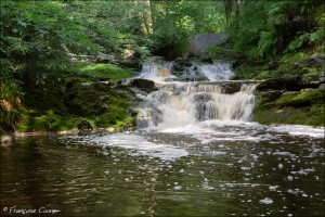 Promenade de la Hoëgne